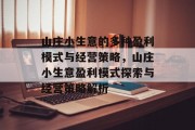 山庄小生意的多种盈利模式与经营策略,山庄小生意盈利模式探索与经营策略解析 山庄小生意的多种盈利模式与经营策略,山庄小生意盈利模式探索与经营策略解析