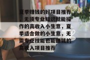 夏季赚钱的好项目推荐,无须专业知识就能操作的高收入小生意,夏季适合做的小生意,无需专业技能也能赚钱的高收入项目推荐