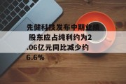 先健科技发布中期业绩 股东应占纯利约为2.06亿元同比减少约6.6% 先健科技发布中期业绩 股东应占纯利约为2.06亿元同比减少约6.6%