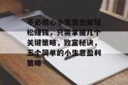 不必担心小生意也能轻松赚钱,只需掌握几个关键策略,致富秘诀,五个简单的小生意盈利策略