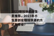 2023赚钱快的小生意推荐,2023年小生意创业赚钱快速的方式有哪些? 2023赚钱快的小生意推荐,2023年小生意创业赚钱快速的方式有哪些?