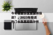 今年哪些小生意值得投资？，2023年投资热门小生意趋势分析