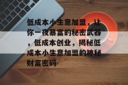 低成本小生意加盟,让你一夜暴富的秘密武器,低成本创业,揭秘低成本小生意加盟的神秘财富密码 低成本小生意加盟,让你一夜暴富的秘密武器,低成本创业,揭秘低成本小生意加盟的神秘财富密码