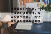赚钱养家的小生意，一份成功的创业选择，万元投资小生意，一份让家庭轻松赚钱的创业机会