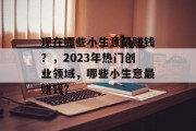 现在哪些小生意最赚钱？，2023年热门创业领域，哪些小生意最赚钱?