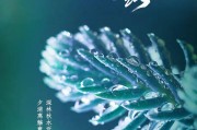 韩露是啥意思 韩露是啥意思