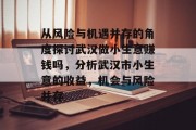 从风险与机遇并存的角度探讨武汉做小生意赚钱吗，分析武汉市小生意的收益，机会与风险并存