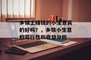乡镇上赚钱的小生意真的好吗?,乡镇小生意的可行性和收益分析 乡镇上赚钱的小生意真的好吗?,乡镇小生意的可行性和收益分析