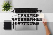 马来西亚赚钱的小生意,一个多元化的选择,马来西亚赚钱的小生意,多元化的投资选择