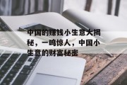 中国的赚钱小生意大揭秘,一鸣惊人,中国小生意的财富秘密 中国的赚钱小生意大揭秘,一鸣惊人,中国小生意的财富秘密