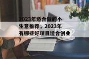 2023年适合做的小生意推荐，2023年有哪些好项目适合创业？
