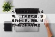 小生意创业的困难与成功,一个简要概述,创业的小生意,困难、挑战与成功的简单概述 小生意创业的困难与成功,一个简要概述,创业的小生意,困难、挑战与成功的简单概述