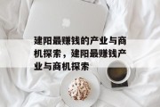 建阳最赚钱的产业与商机探索,建阳最赚钱产业与商机探索