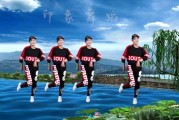 网络最火的舞蹈视频大全 网络最火的舞蹈视频大全