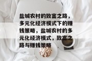 盐城农村的致富之路,多元化经济模式下的赚钱策略,盐城农村的多元化经济模式,致富之路与赚钱策略 盐城农村的致富之路,多元化经济模式下的赚钱策略,盐城农村的多元化经济模式,致富之路与赚钱策略