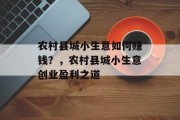农村县城小生意如何赚钱？，农村县城小生意创业盈利之道