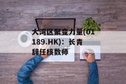 大湾区聚变力量(01189.HK):长青辞任核数师 大湾区聚变力量(01189.HK):长青辞任核数师