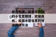 抓住机遇,投资于短期的小生意赚钱,把握商机,投资小型生意的快速赚钱方法 抓住机遇,投资于短期的小生意赚钱,把握商机,投资小型生意的快速赚钱方法