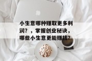 小生意哪种赚取更多利润?,掌握创业秘诀,哪些小生意更能赚钱? 小生意哪种赚取更多利润?,掌握创业秘诀,哪些小生意更能赚钱?