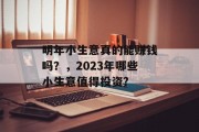 明年小生意真的能赚钱吗?,2023年哪些小生意值得投资? 明年小生意真的能赚钱吗?,2023年哪些小生意值得投资?