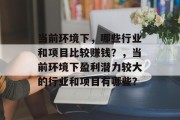 当前环境下,哪些行业和项目比较赚钱?,当前环境下盈利潜力较大的行业和项目有哪些? 当前环境下,哪些行业和项目比较赚钱?,当前环境下盈利潜力较大的行业和项目有哪些?