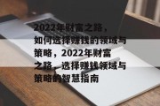 2022年财富之路,如何选择赚钱的领域与策略,2022年财富之路,选择赚钱领域与策略的智慧指南 2022年财富之路,如何选择赚钱的领域与策略,2022年财富之路,选择赚钱领域与策略的智慧指南