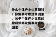 什么个体户小生意赚钱?你需要考虑这些因素,关于个体户小生意的盈利策略及需要考虑的因素
