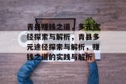 青县赚钱之道，多元途径探索与解析，青县多元途径探索与解析，赚钱之道的实践与解析