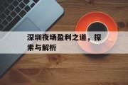 深圳夜场盈利之道,探索与解析