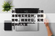 创新方案，如何通过精准策略实现盈利，创新策略，精准定位，实现盈利的方案