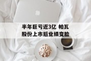 半年巨亏近3亿 帕瓦股份上市后业绩变脸