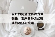 农户如何通过多种方式赚钱,农户多种方式赚钱的途径与策略
