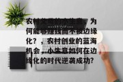 农村父母的小生意,为何能够赚钱而不被边缘化?,农村创业的蓝海机会,小生意如何在边缘化的时代逆袭成功? 农村父母的小生意,为何能够赚钱而不被边缘化?,农村创业的蓝海机会,小生意如何在边缘化的时代逆袭成功?