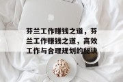 芬兰工作赚钱之道,芬兰工作赚钱之道,高效工作与合理规划的秘诀