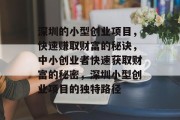 深圳的小型创业项目,快速赚取财富的秘诀,中小创业者快速获取财富的秘密,深圳小型创业项目的独特路径 深圳的小型创业项目,快速赚取财富的秘诀,中小创业者快速获取财富的秘密,深圳小型创业项目的独特路径