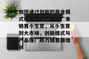 如何通过创新的商业模式和高效的产品推广来销售小生意,从小生意到大市场,创新模式与产品推广助力销售额增长