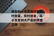 现在的小生意如何在农村致富,农村创业,从小生意到大产业的转变之路 现在的小生意如何在农村致富,农村创业,从小生意到大产业的转变之路