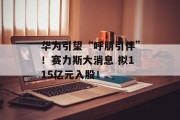 华为引望“呼朋引伴”!赛力斯大消息 拟115亿元入股! 华为引望“呼朋引伴”!赛力斯大消息 拟115亿元入股!