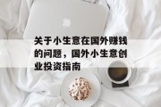 关于小生意在国外赚钱的问题，国外小生意创业投资指南