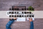 大棚种植,如何实现盈利最大化,大棚种植,实现盈利最大化的策略与技巧