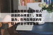 县里有哪些适合年轻人创业的小项目?,发掘潜力,你所在地区的年轻人创业小项目推荐
