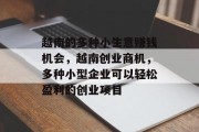越南的多种小生意赚钱机会，越南创业商机，多种小型企业可以轻松盈利的创业项目