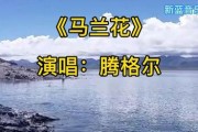 2008年最火的歌曲前十名 2008年最火的歌曲前十名