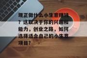 现正做什么小生意赚钱?这取决于你的兴趣和能力,创业之路,如何选择适合自己的小生意项目?