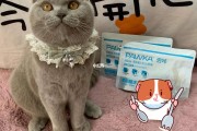 喵物app