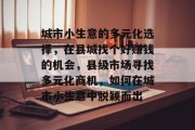 城市小生意的多元化选择，在县城找个好赚钱的机会，县级市场寻找多元化商机，如何在城市小生意中脱颖而出