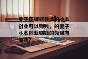 妻子在哪些领域的小本创业可以赚钱,的妻子小本创业赚钱的领域有哪些? 妻子在哪些领域的小本创业可以赚钱,的妻子小本创业赚钱的领域有哪些?