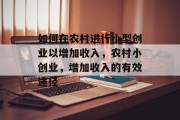 如何在农村进行小型创业以增加收入,农村小创业,增加收入的有效途径 如何在农村进行小型创业以增加收入,农村小创业,增加收入的有效途径