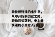 最快速赚钱的小生意，从零开始的创业之路，轻松投资获利，史上最快速的小生意入门指南