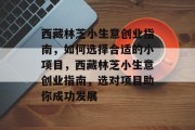 西藏林芝小生意创业指南,如何选择合适的小项目,西藏林芝小生意创业指南,选对项目助你成功发展